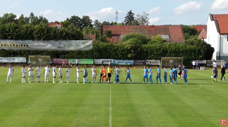 F95 vs Orbáns Retorenprojekt: Ein völlig unnötiges Testspiel (Screenshot: f95.tv)