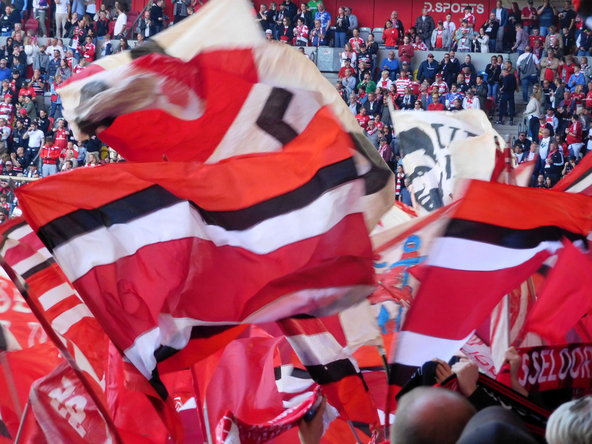F95 vs Münster: Fahnenmeer vor voller Hütte (Foto: FP)