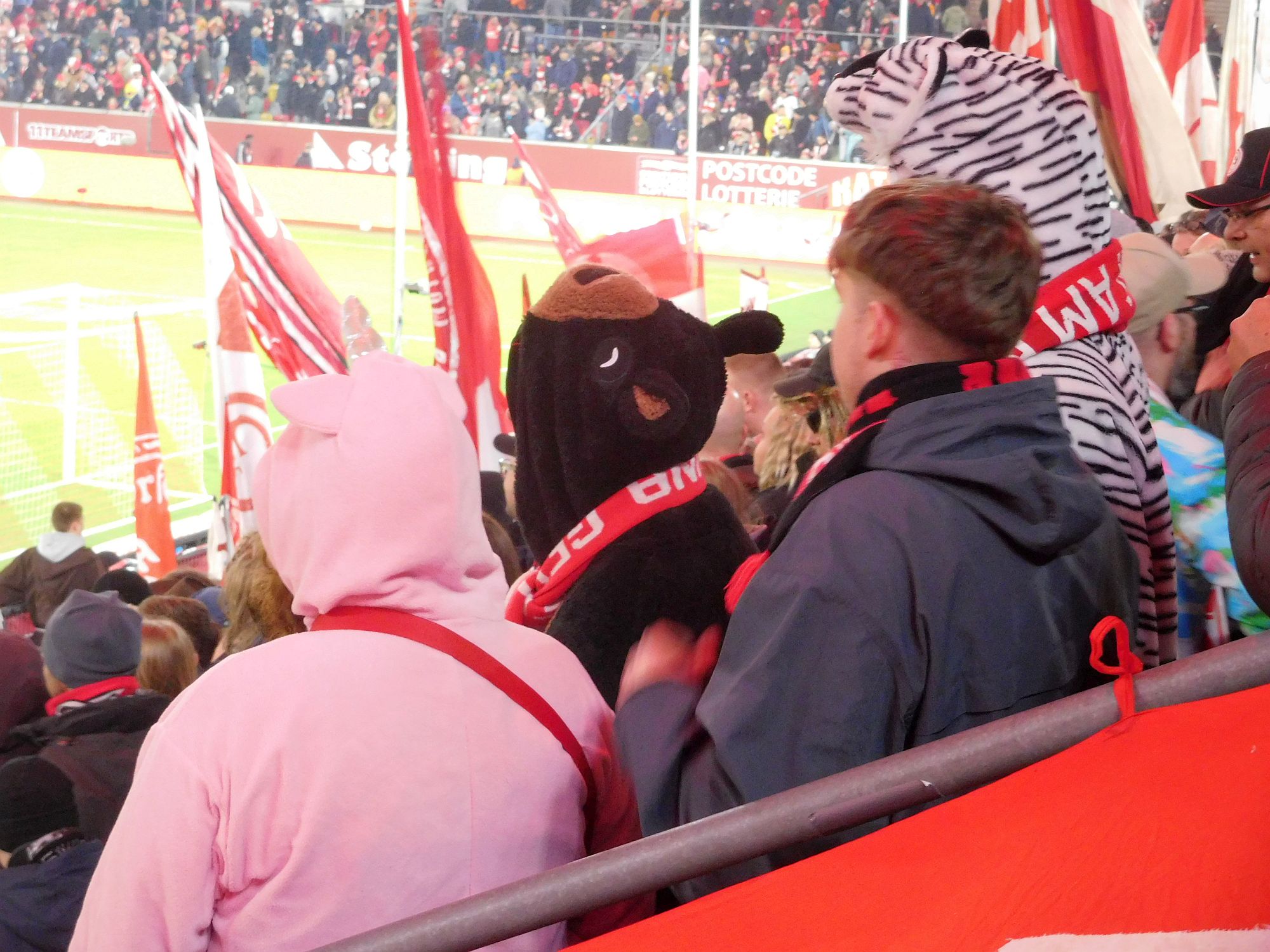 F95 vs Münster: Fortuna-Fans sind manchmal Tiere (Foto: FP)