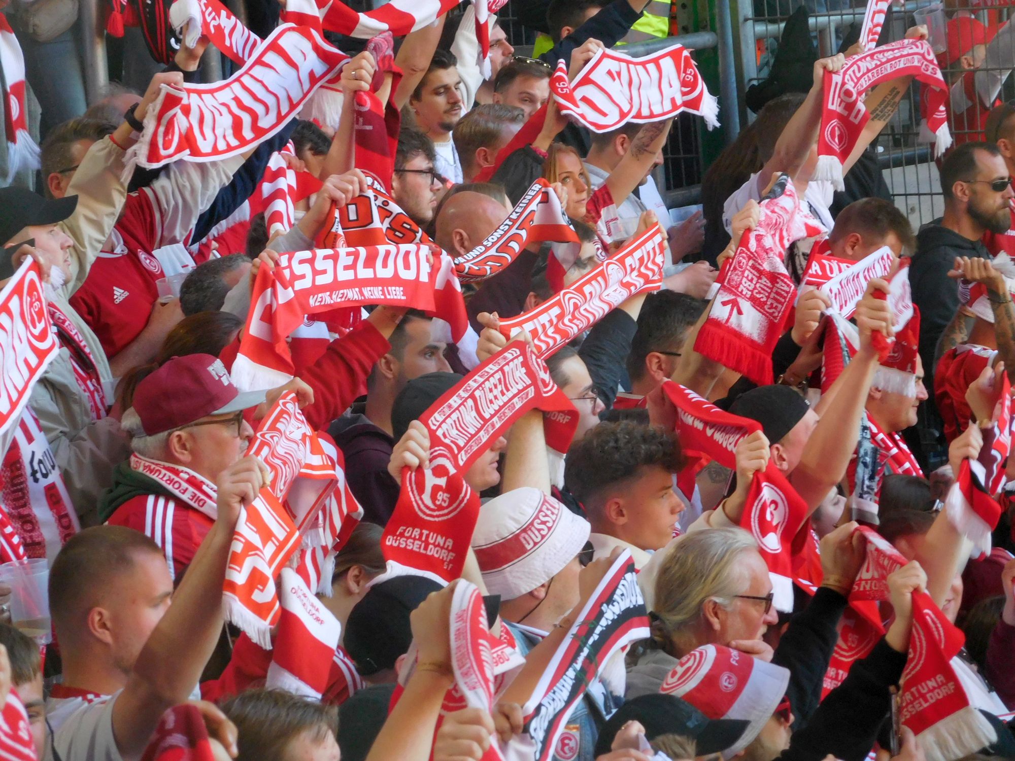 F95 vs Dresden: Zeigt eure Schals!(Foto: FP)