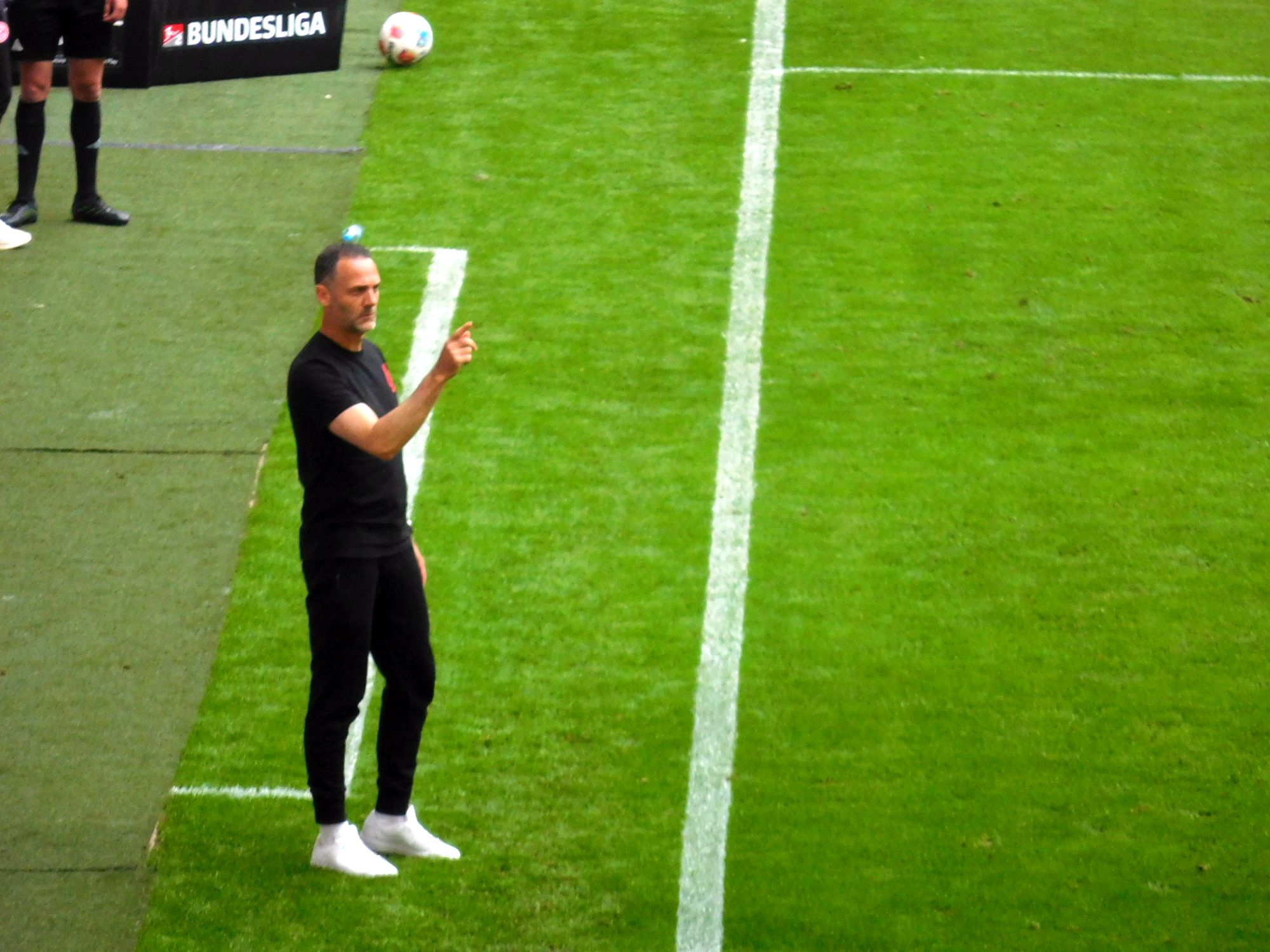 F95 vs Elversberg: Unser Erfolgstrainer (Foto: FP)